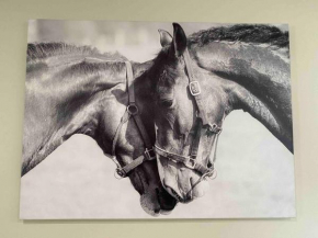 The Horse Lover